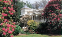 Book Scottsdale Accommodation Vacations Phillip Island Accommodation Phillip Island Accommodation