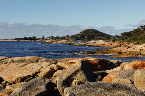 Mermaids Of Bicheno - Phillip Island Accommodation 15