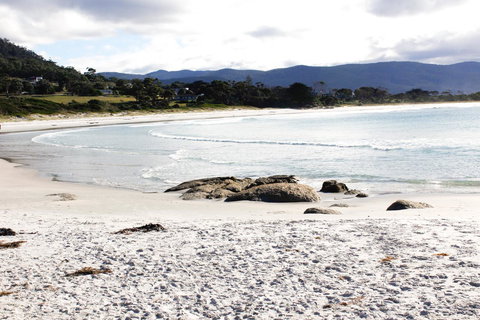 Mermaids Of Bicheno - Phillip Island Accommodation 0