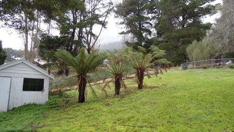 Maydena Chalet - Phillip Island Accommodation 44