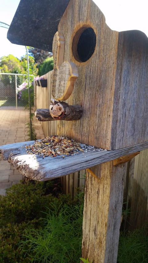 Driftwood-Cottage - Phillip Island Accommodation 29
