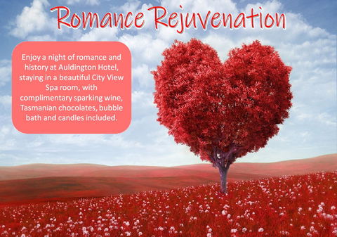 Auldington Hotel - Phillip Island Accommodation 6