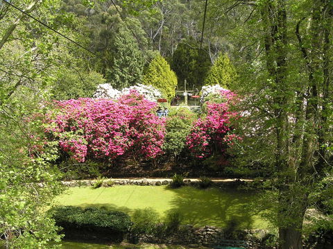 Auldington Hotel - Phillip Island Accommodation 23