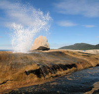 Suntrap Cove Bicheno - Phillip Island Accommodation