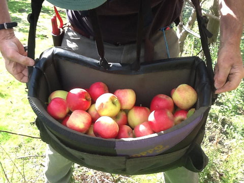 Eureka Farm - Phillip Island Accommodation 24