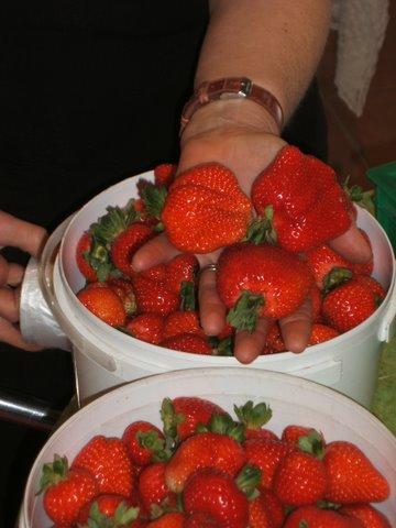 Eureka Farm - Phillip Island Accommodation 17