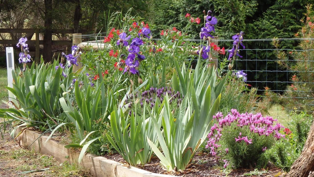  Phillip Island Accommodation