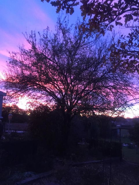 White Croft Cottage - Phillip Island Accommodation 2