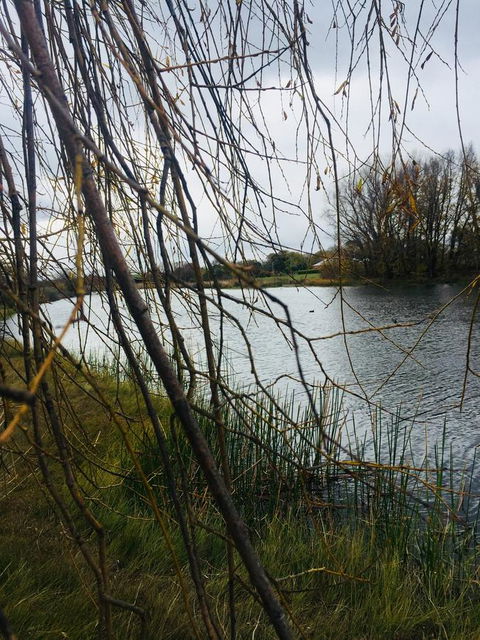 White Croft Cottage - Phillip Island Accommodation 6