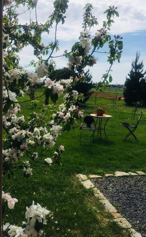 White Croft Cottage - Phillip Island Accommodation 4