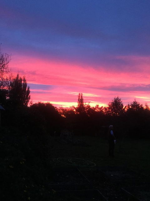 White Croft Cottage - Phillip Island Accommodation 1