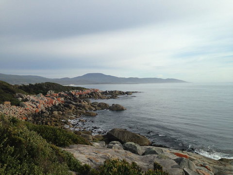 Seymour Waves - Phillip Island Accommodation 12
