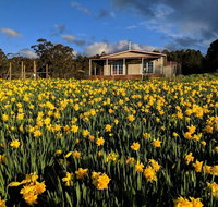 Mountain Blue Guest House - Phillip Island Accommodation