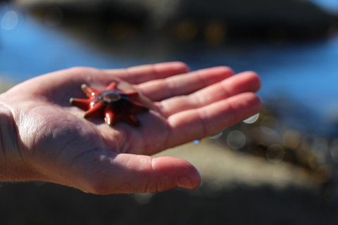 Blu-Sea 365 - Phillip Island Accommodation 26