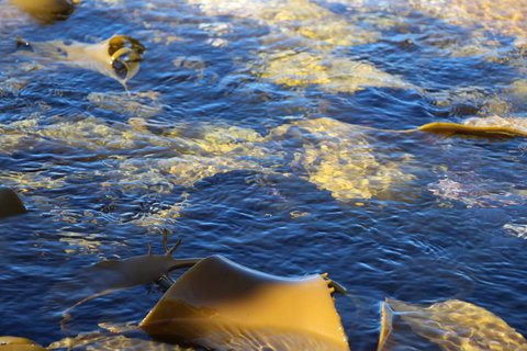 Blu-Sea 365 - Phillip Island Accommodation 28