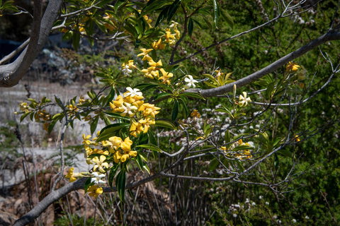 Blu-Sea 365 - Phillip Island Accommodation 8