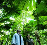 NRMA Cairns Holiday Park - Phillip Island Accommodation