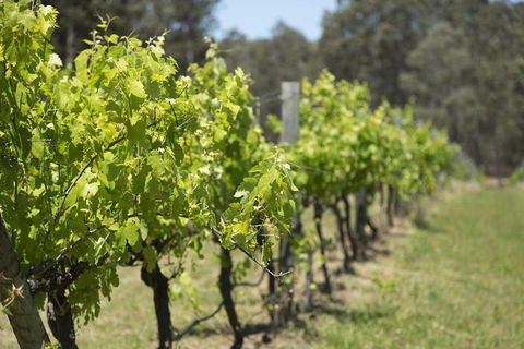 Nu Leaf Retreat - Phillip Island Accommodation 2