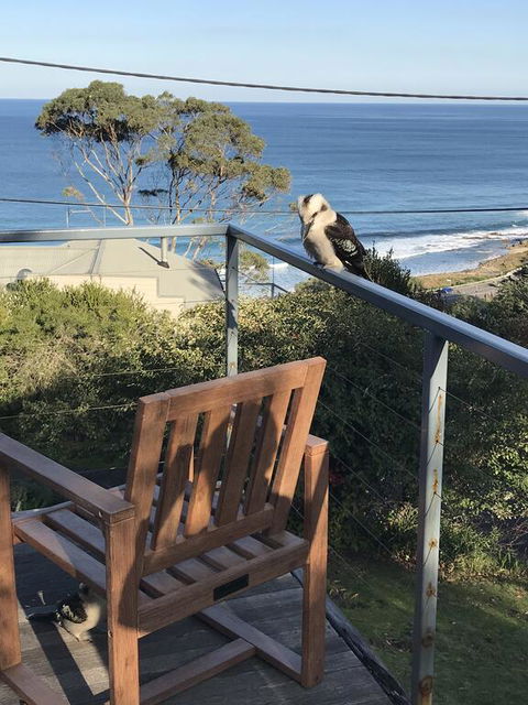 Otway Blue - Phillip Island Accommodation 2