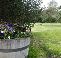 Padthaway Caravan Park - Phillip Island Accommodation