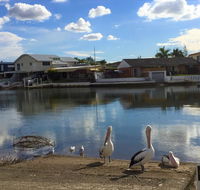 Pelican Cove Apartments - Phillip Island Accommodation