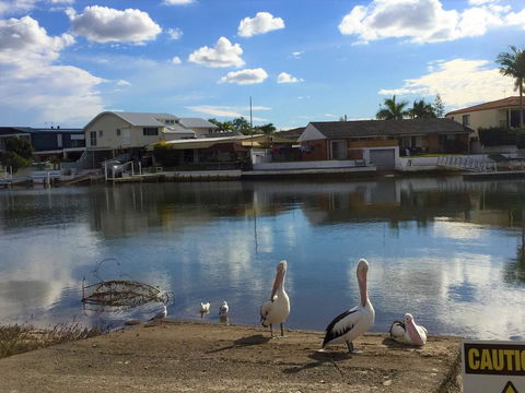 Pelican Cove Apartments - Phillip Island Accommodation 0