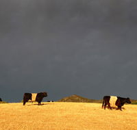 Peppertree Hill - Phillip Island Accommodation