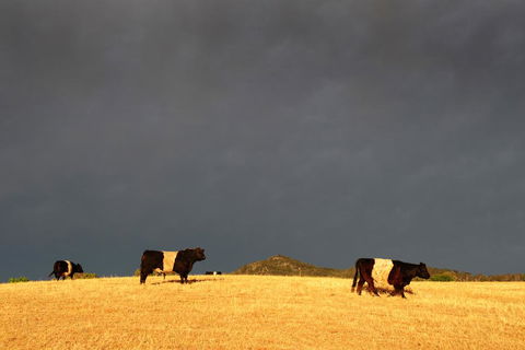 Peppertree Hill - Phillip Island Accommodation 0