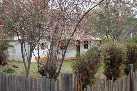 Pines Cottage - Phillip Island Accommodation 3