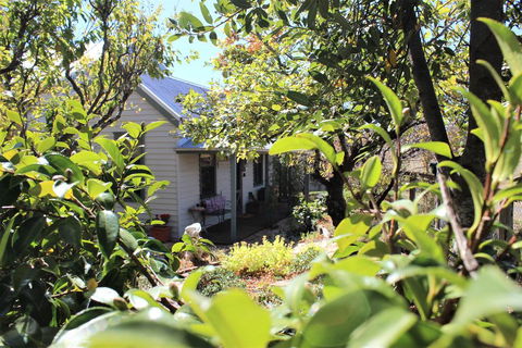 Quince Cottage - Phillip Island Accommodation 2