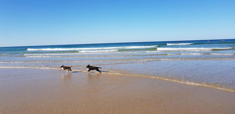 Red Door Beach House - Marcoola Beach - PET FRIENDLY, FOXTEL, WIFI, 500 BOND, Linen Supplied - Phillip Island Accommodation 1