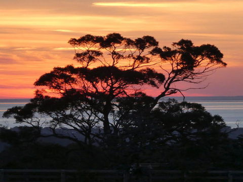 Red Hill Ridge - Phillip Island Accommodation 1