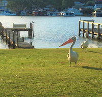 Riverfront Getaway - Mannum - Phillip Island Accommodation