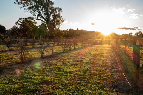 Riverview Farm & Guesthouse - Phillip Island Accommodation 3