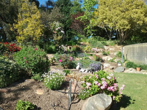 Rose Cottage - Phillip Island Accommodation 1