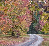 Rustic Spirit - Phillip Island Accommodation