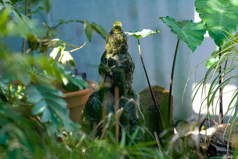 Serenity Guest House - Phillip Island Accommodation 3