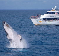 Shelly Beach Motel - Phillip Island Accommodation