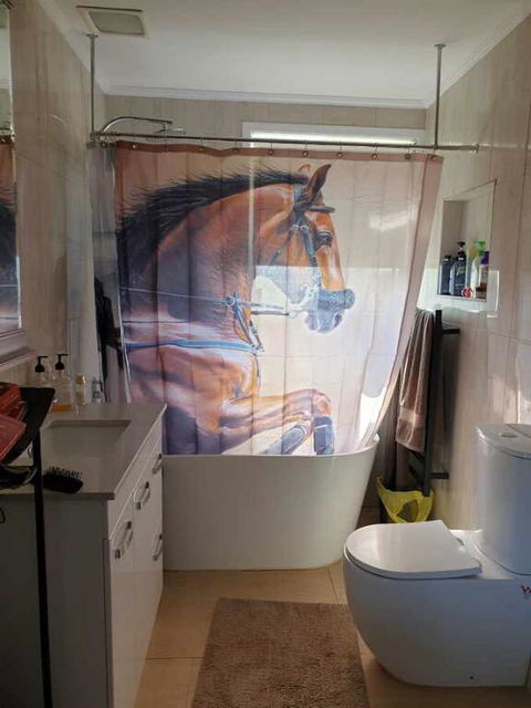 Silverbirch Cottage - Phillip Island Accommodation 3