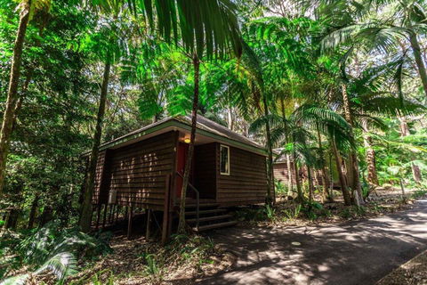 Songbirds Rainforest Retreat - Phillip Island Accommodation 2