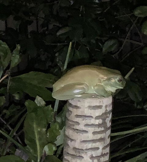 Studio With Stunning Mountain Views - Phillip Island Accommodation 3