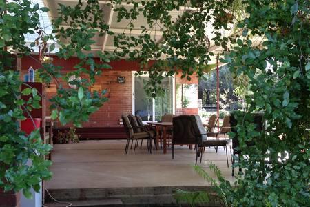 Sue's Sanctuary - Phillip Island Accommodation 1