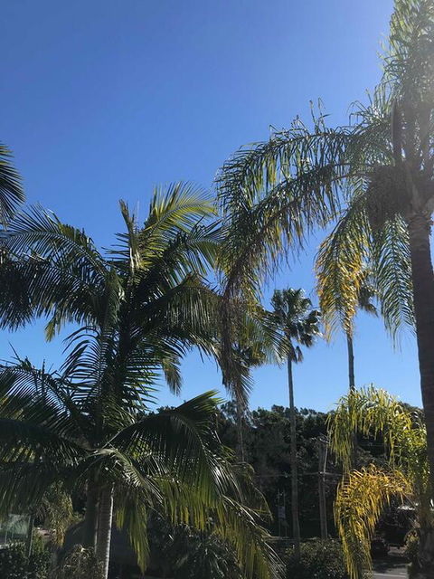 Terrigal Pacific Coastal Retreat - Phillip Island Accommodation 3