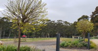 Book Lebrina Accommodation Vacations Phillip Island Accommodation Phillip Island Accommodation