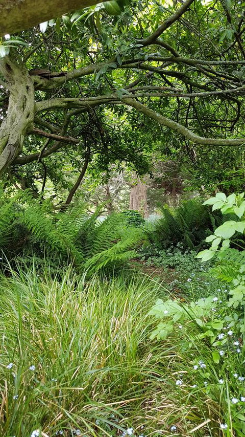 Whispering Hills Retreat - Phillip Island Accommodation 15