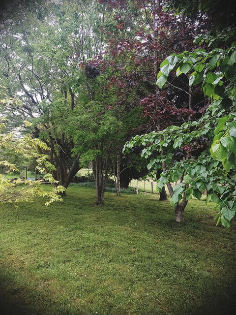 Whispering Hills Retreat - Phillip Island Accommodation 14