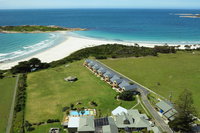 Diamond Island Resort  Bicheno Penguin Show