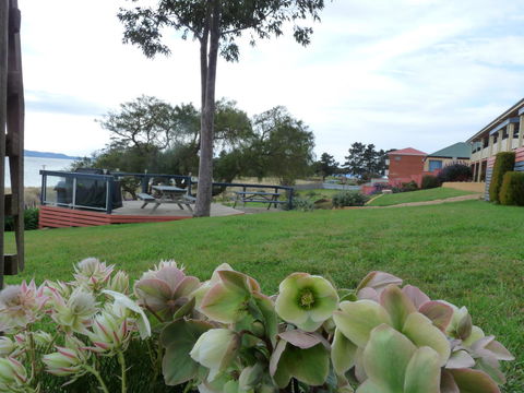 Swansea Motor Inn Tasmania - Phillip Island Accommodation 17