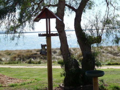 Swansea Motor Inn Tasmania - Phillip Island Accommodation 20