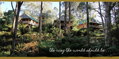 Lemonthyme Wilderness Retreat - Phillip Island Accommodation 20